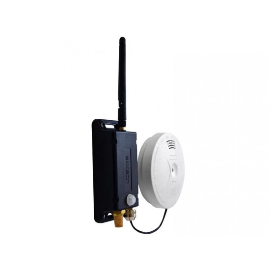 Siotech UNIOR SECURITY - Platinum Siotech UNIOR SECURITY - Platinum